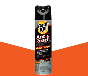 real kill ant & roach insecticide