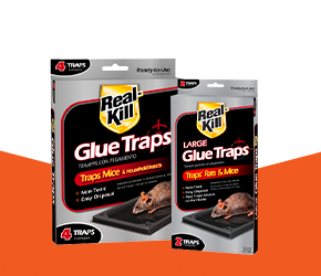 real kill glue traps
